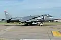 Harrier