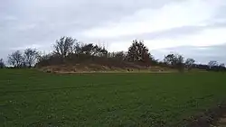 Langbetten von Harrislee