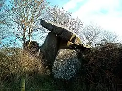 Leac an Scail, der Dolmen von Kilmogue