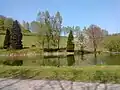Weiher an der Flörsbachquelle