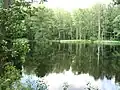 Großer Harthteich; Blick nach Norden