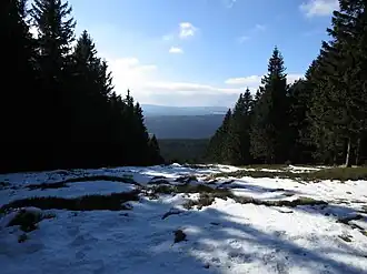 Blick vom Erdbeerkopf durch die Schneise der ehemaligen Skipiste nach Südsüdwesten.
