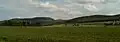 Mittelgebirge in Niedersachsen: der Harz (Nordflanke bei Astfeld)