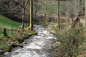 Unteres Harzbachtal