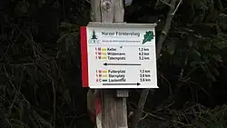 Grünes Eichenblatt
