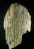 Haselfichtenholz 2012