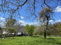 Streuobstwiese