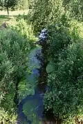 Die „Wiemersdorfer Au“ in Hasenkrug