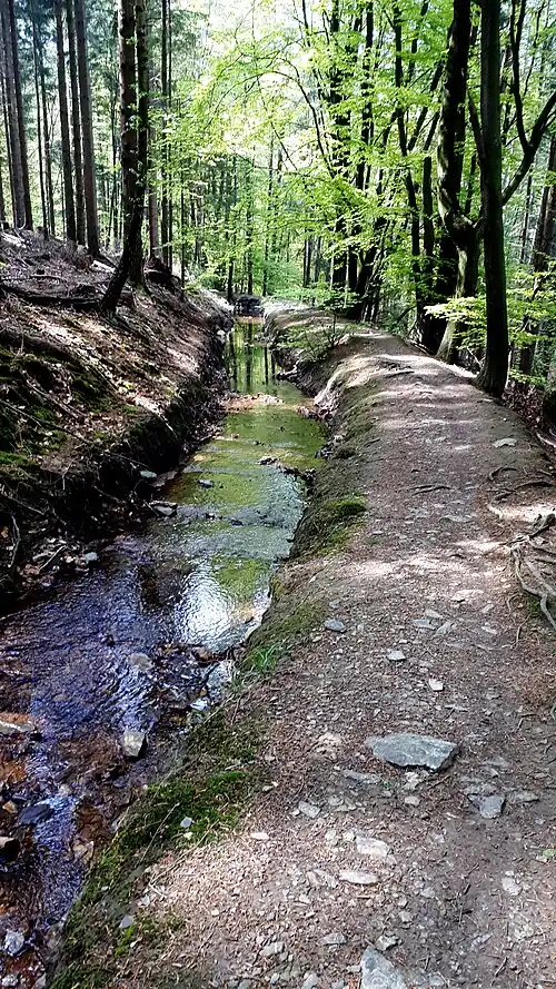 Hasselbach-Graben
