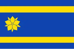 Flagge der Gemeinde Hattem