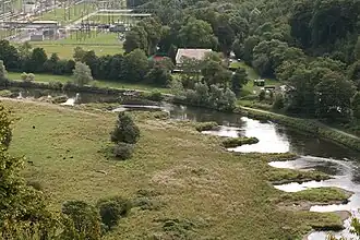 Buhnen am Ruhrufer – Refugien für Fische und Vögel