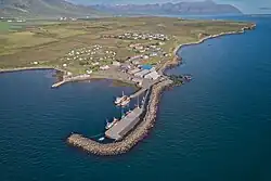 Whale-Watching von Hauganes aus