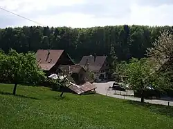 Hinteralbis