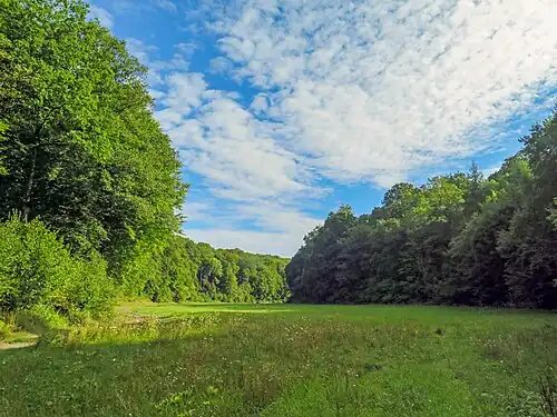 Ottenhäuser Grund