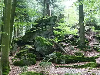 Gipfel des Hausstein. Blick von Nordosten auf die Felsblöcke und den gemauerten Ziegelturm. Dieser diente einst als trigonometrischer Vermessungspunkt und ist in älteren Karten des Bayerischen Landesamtes für Digitalisierung, Breitband und Vermessung noch vermerkt.