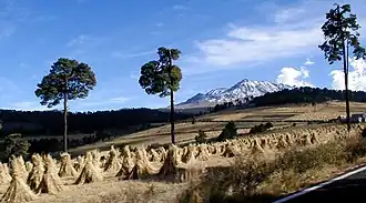 Nevado de Toluca mit verschneitem Gipfel