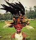 Papua mit großer Federkrone