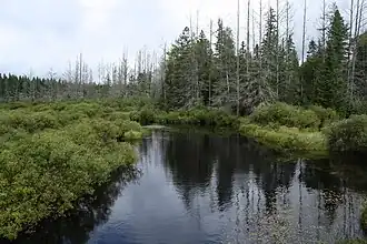 Die Headwater Wilderness