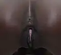Vulva und Anus einer jungen Frau mit muskulöser Manschette (Sphinkter) und gespanntem Perineum