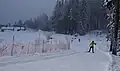 Piste am Waldrand