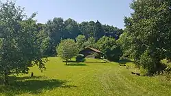 Hütte des Angelsportvereins Lauda zwischen großem und kleinem See[21]