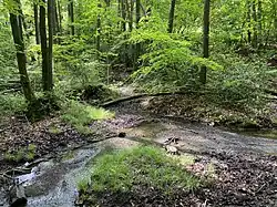Heidacker Bachtal