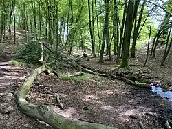 Heidacker Bachtal