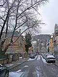 Typisches Neuenheimer Straßenbild mit Villen und großbürgerlichen Häusern um 1900