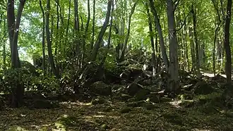 Basaltblockmeer auf dem Gipfel des Heidenhäuschen