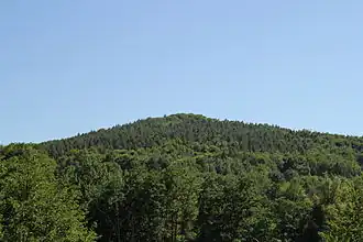 Der Heidkopf von der Herrnmühle gesehen