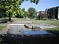 Brunnen im Stadtgarten
