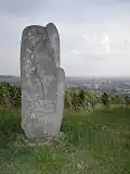 Skulptur Cosmic XVII von Ottmar Mohring auf dem Wartberg in Heilbronn aus Belgisch Granit