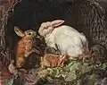 Hasen im Korb, vor 1882