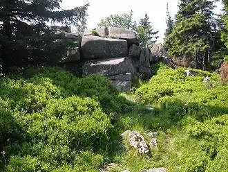 Klippe Brockentor auf der Heinrichshöhe