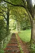 Der Aufstieg zur Ludwigshöhe am 60. Baum