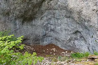 Blick in den nordöstlichen Bereich des Abris (Maßstab&nbsp;=&nbsp;1&nbsp;m)