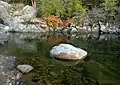 Hellroaring Creek im Herbst