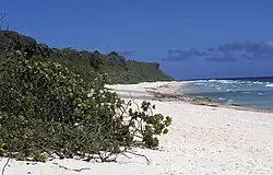 Nordstrand auf Henderson