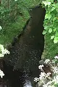 Die Nette in der Nähe der Henkenmühle