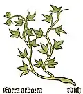 Herbarius Moguntinus 1484