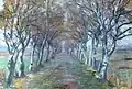 Allee