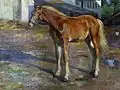 Fohlen