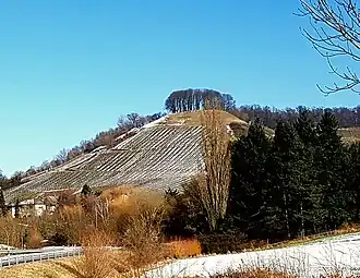 Der Herrenberg