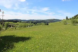Blick vom Spreitzkopf-Südhang bei der K&nbsp;36 (rechts) zum Halberg (mittig links) und Burgberg (hinten rechts)