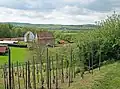 Blick vom Weinberg zur „Baugruppe Rhein-Main“