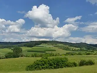 Die südwestlichen Abhänge des Hetzleser Berges