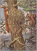 Eichhörnchen