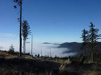 Blick vom Heugstatt