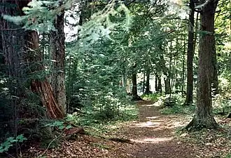Der Hidden Lakes Trail