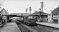 D7006 in Highbridge (Juli 1962)